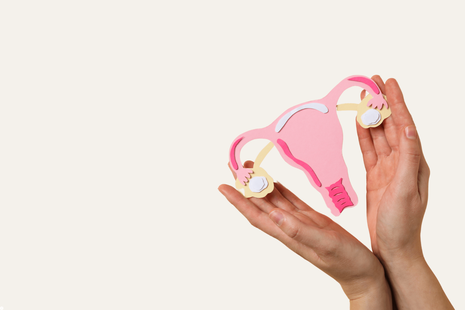 PCOS Support: Expert Consultations & Health Screenings for Women’s Wellness